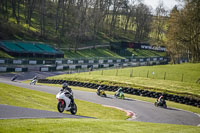 Advanced Group White Bikes